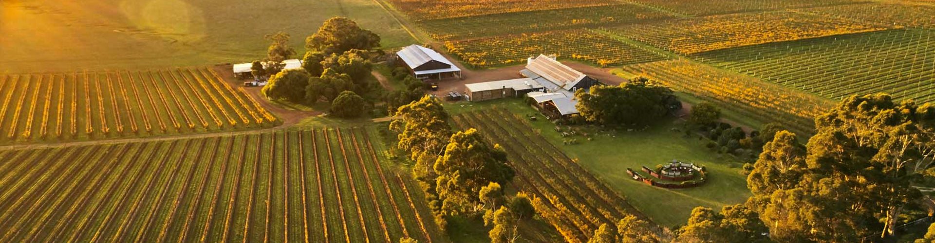 Arial photo of Cullen Wines Winery & Vineyards