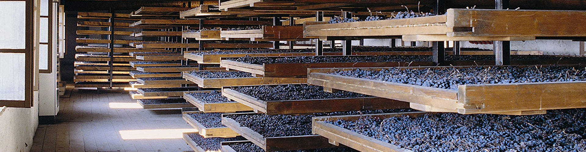 The grape drying loft at Serègo Alighieri