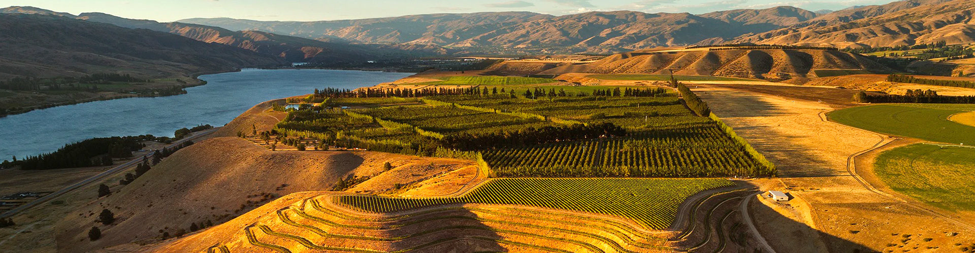 Akarua Vineyards in Bannockburn, Central Otago New Zealand