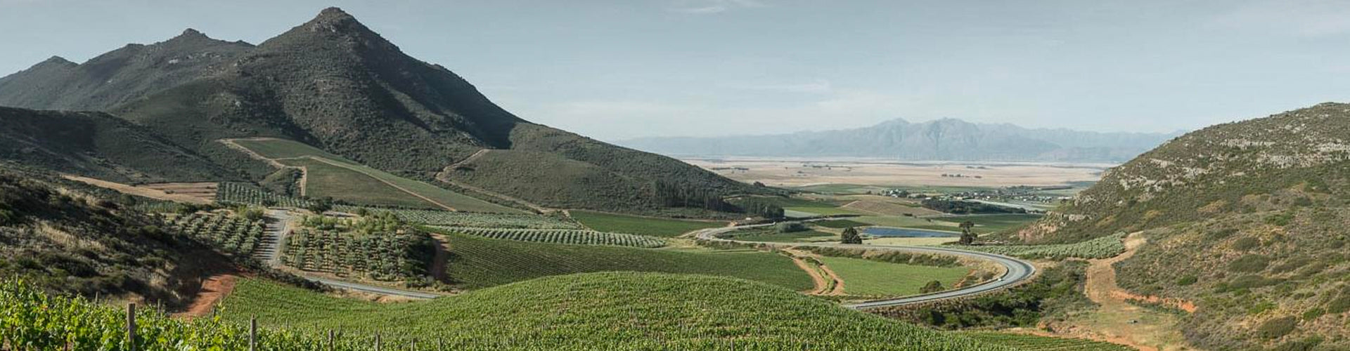 Wolf & Woman Vineyards in Swartland