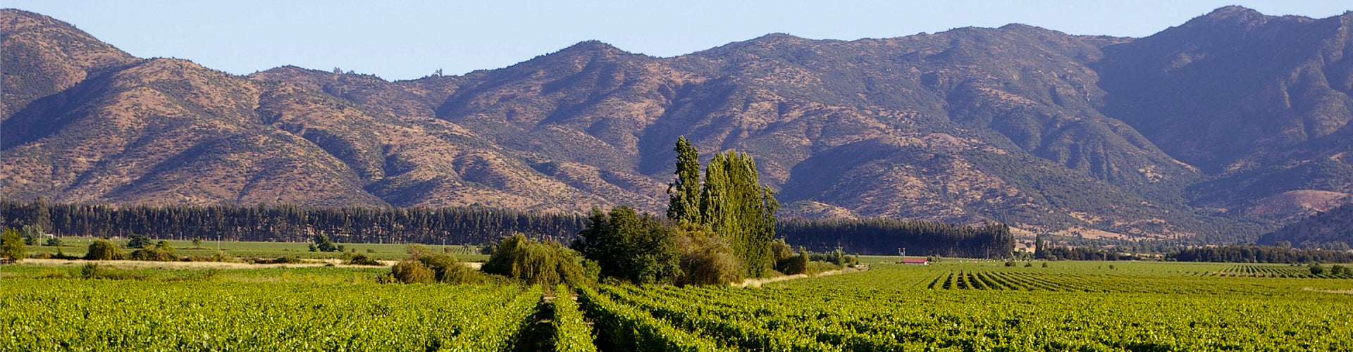 The Viña Los Vascos Vineyard in Colchagua Valley, Chile