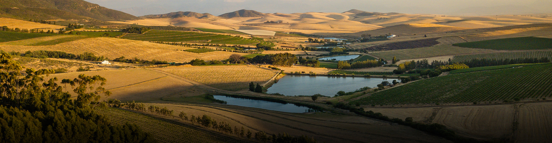 Riebeek Valley, Swartland in South Africa