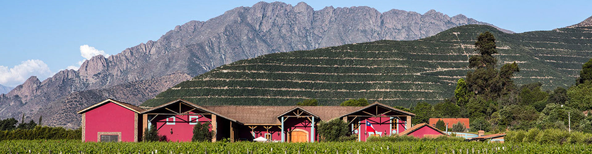 The Viña Von Siebenthal Winery and Vineyards in Aconcagua Valley