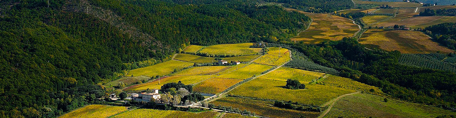 Selvapiana Winery in the Chianti Rufina region