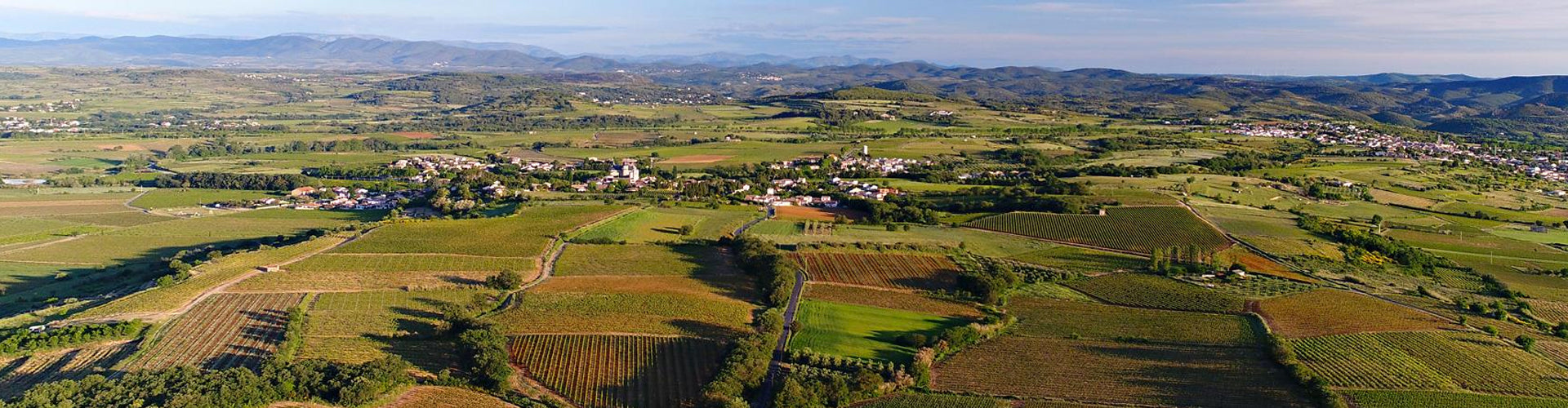 Vineyards of Alignan du Vent in the Languedoc Region of France
