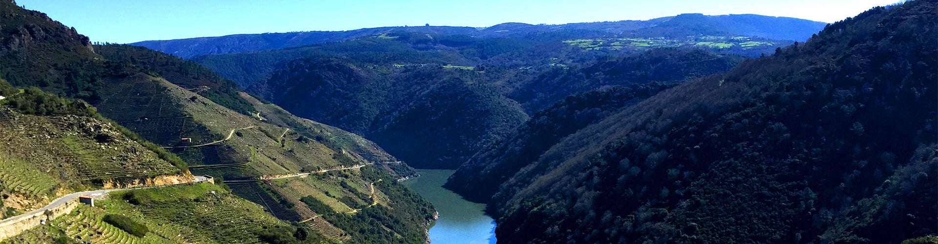 A view of vineyards in the Ribeira Sacra in Spain's Galicia Wine Region