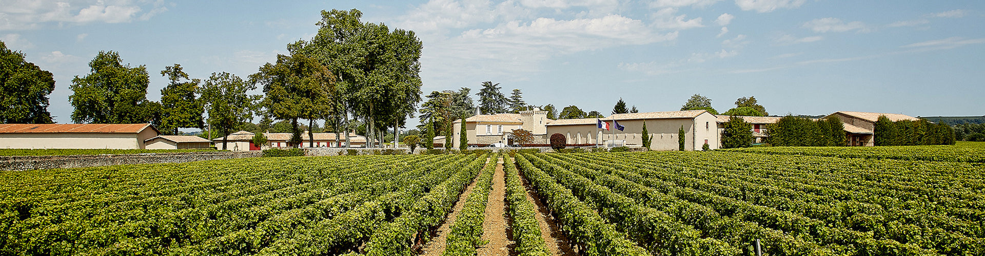 Château Coutet Vineyards and Winery Buildings