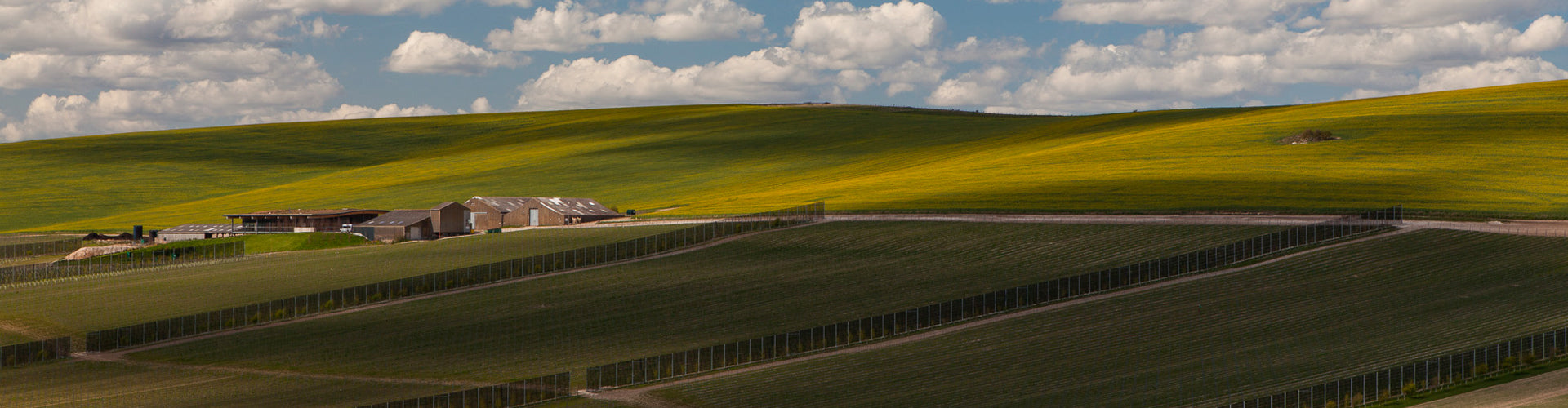 A panoramic vista of the Rathfinny Wine Estate & Vineyards in East Sussex