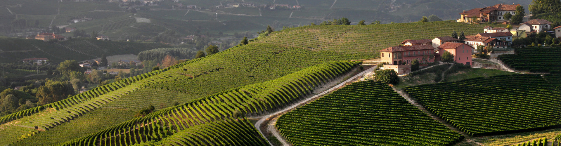 The Prunotto Estate and Vineyards in Piemonte, Italy