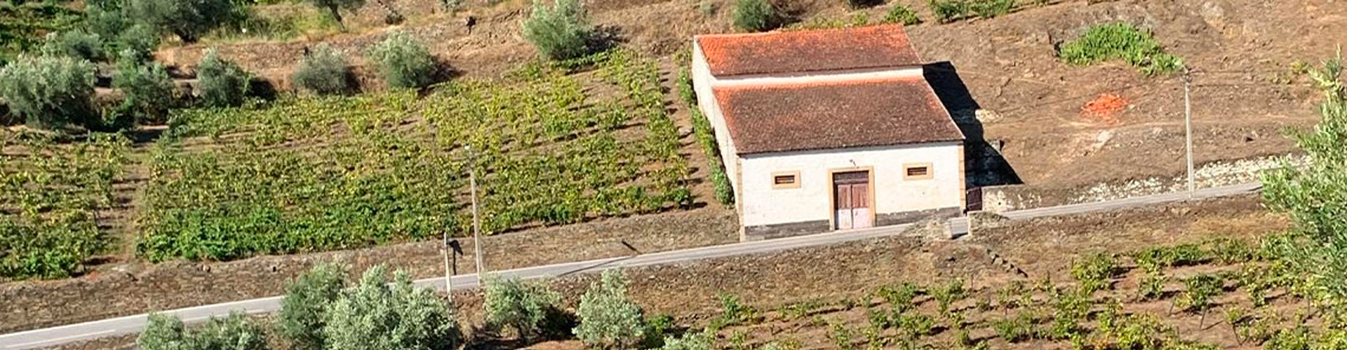 Arial view of Companhia de Vinhos Invencível farmhouse in Casais do Douro, Portugal.
