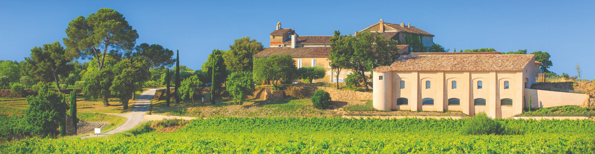 Château La Tour de l'Evêque Winery in Provence