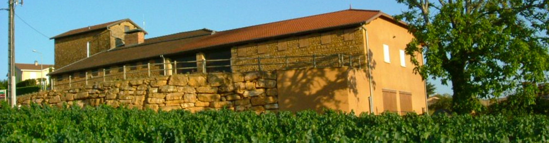 The winery building of Jean-Paul Brun Domaine des Terres Dorrées, Beaujolais