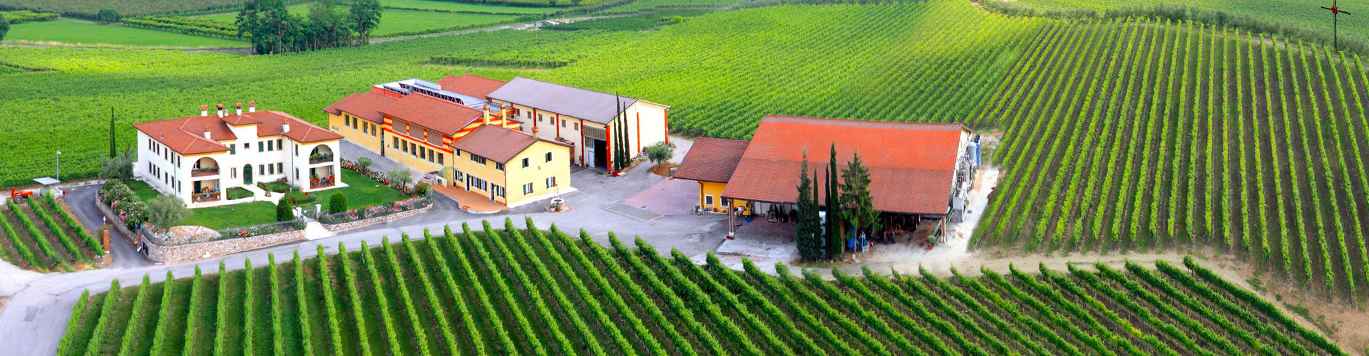 Monte del Frà House & Winery amongst vineyards