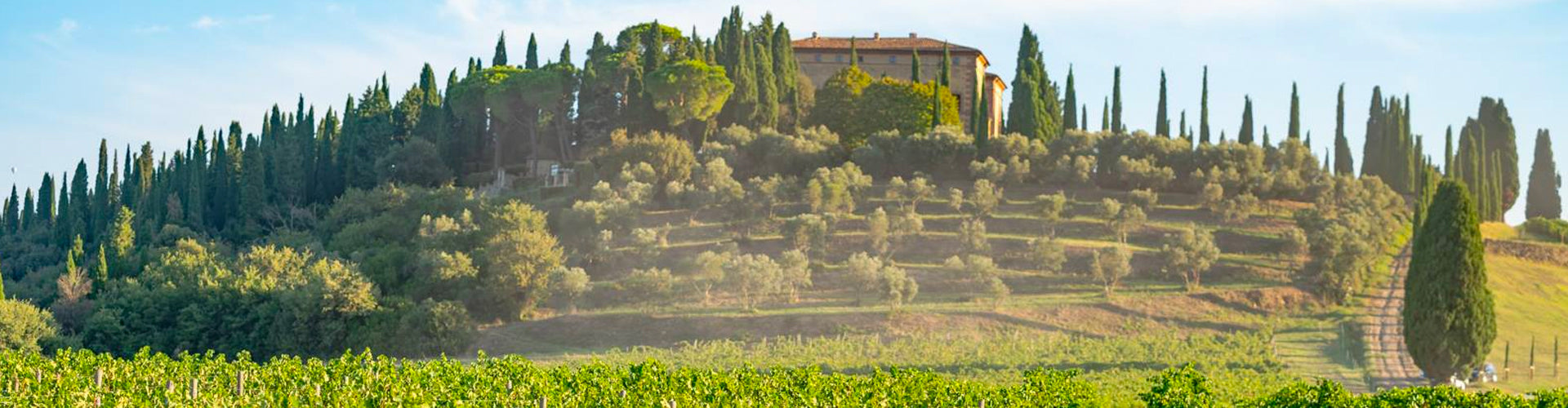 The hilltop Argiano Villa overlooking vineyards in Montalcino, Tuscany