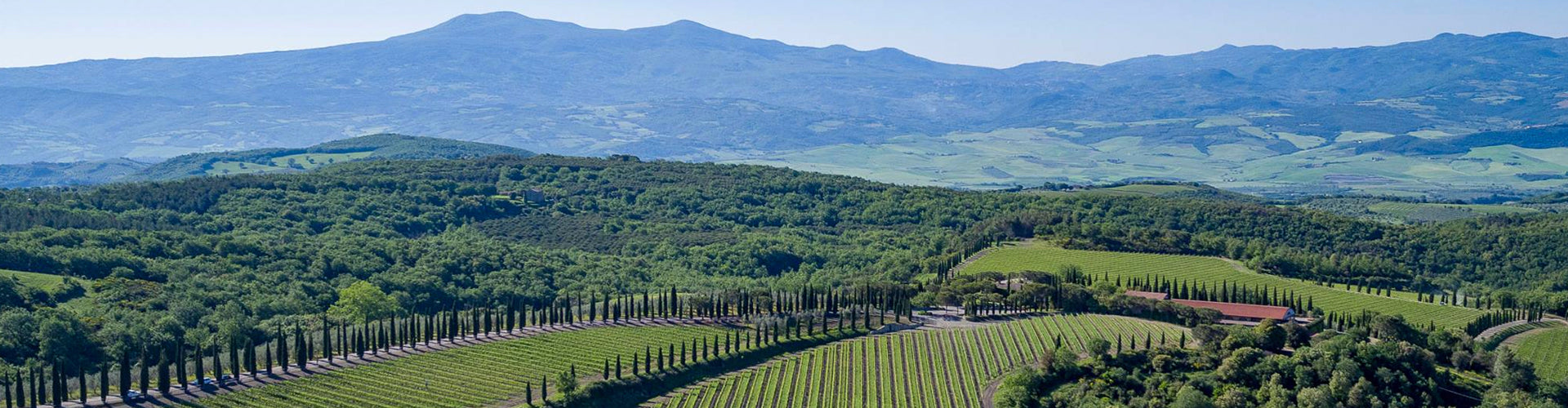 Poggio Antico Vineyards in Montalcino, Italy