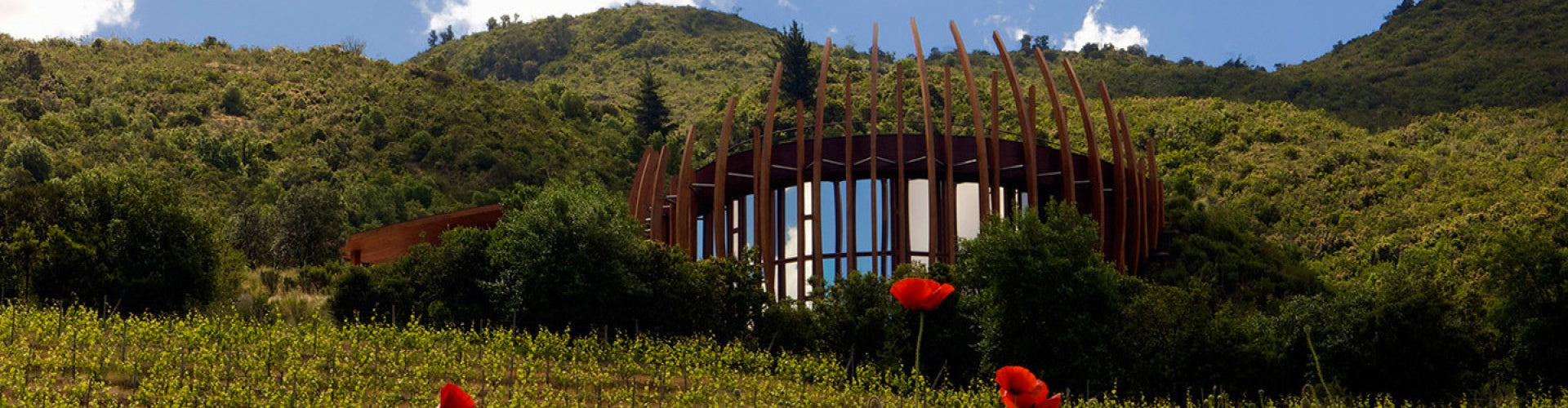 The Clos Apalta Winery in Chiles Colchagua Valley