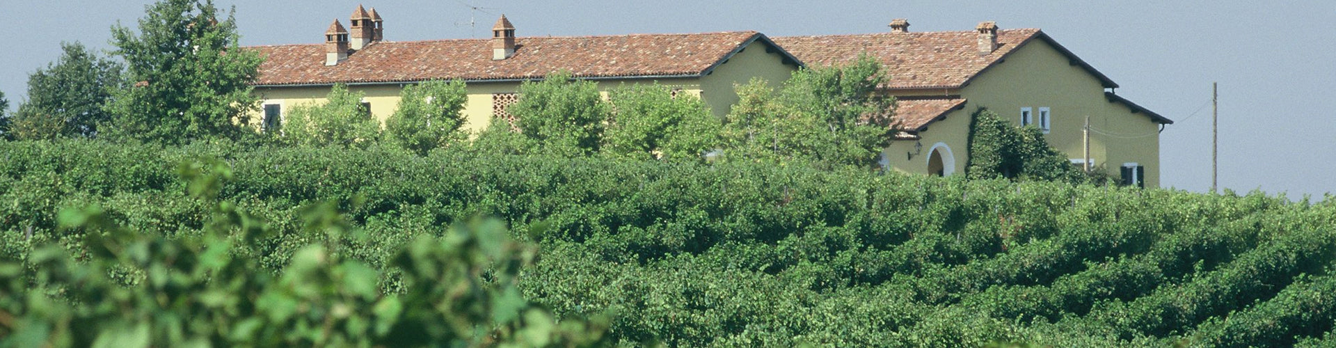 Broglia Estate in Gavi, Italy