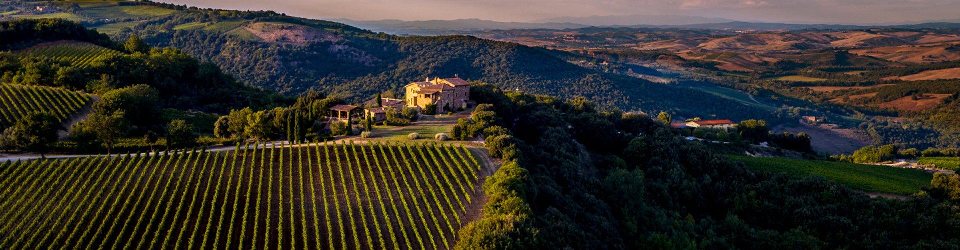 Ariel photo of Mastrojanni Estate and Vineyards in Montalcino, Tuscany