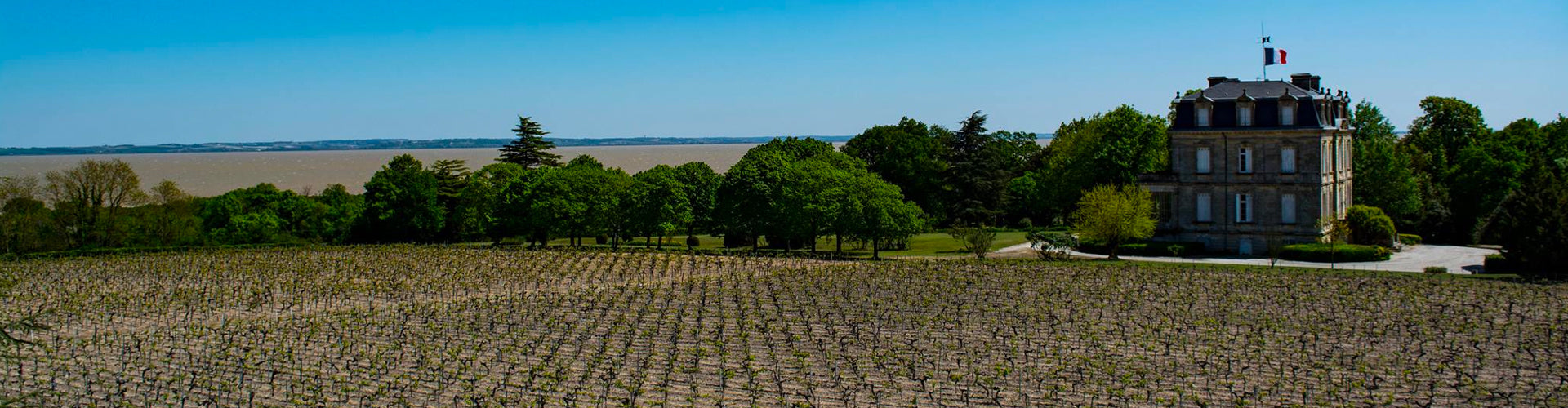 The Château La Tour de By and vineyards close to the Gironde in Bordeaux