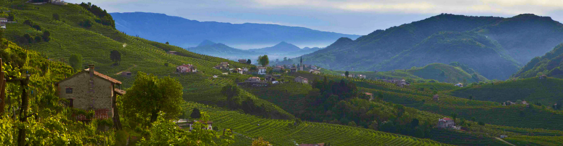 Le Colture Prosecco Vineyards Italy