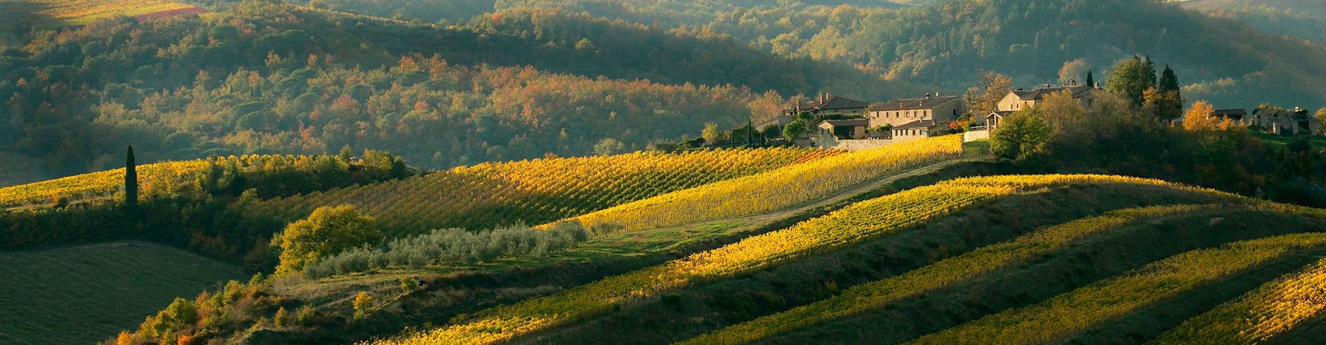 Winery located atop the rolling hills of Chianti in Tuscany