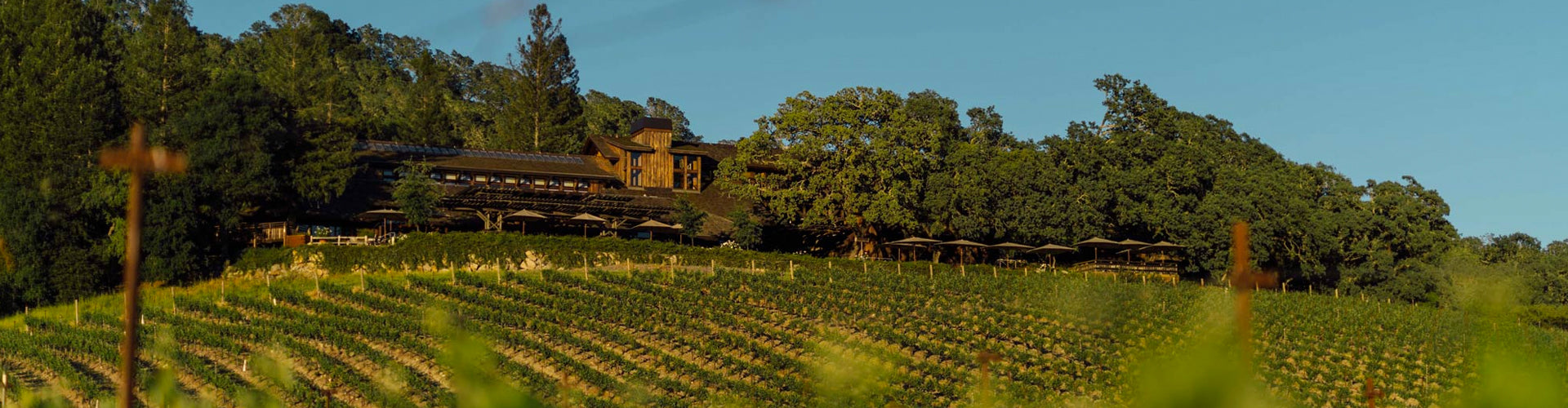 Joseph Phelps Winery & Vineyards in Napa Valley