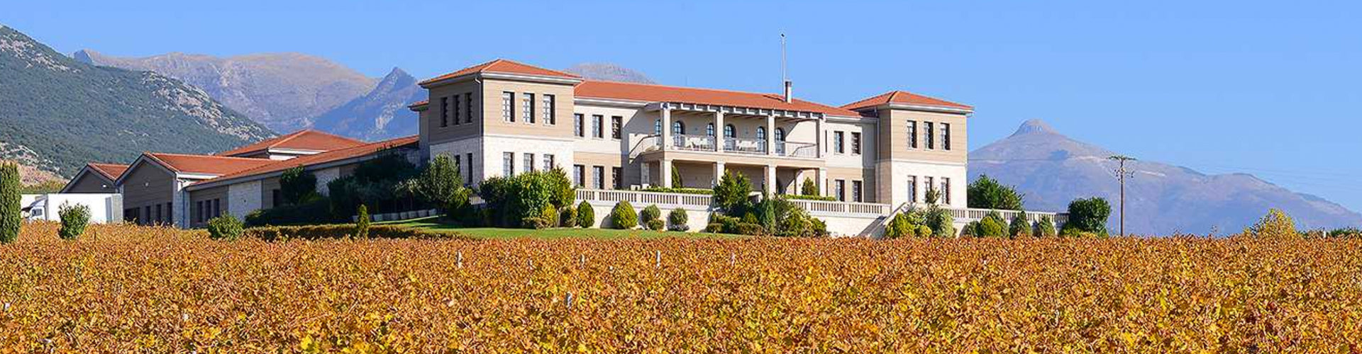 Ktima Biblia Chora Winery & Vineyards