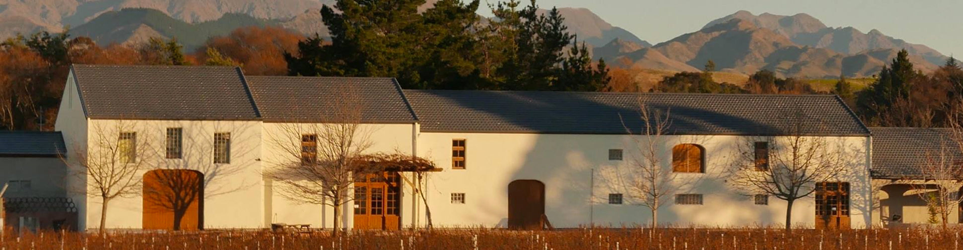 The Isabel Estate Winery Building