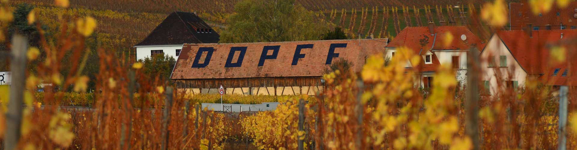 Roof of Dopff Winery through Vineyards