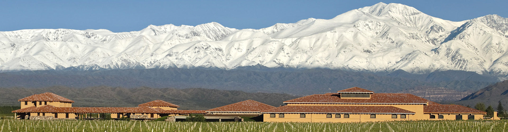 Finca Decero Winery in Mendoza