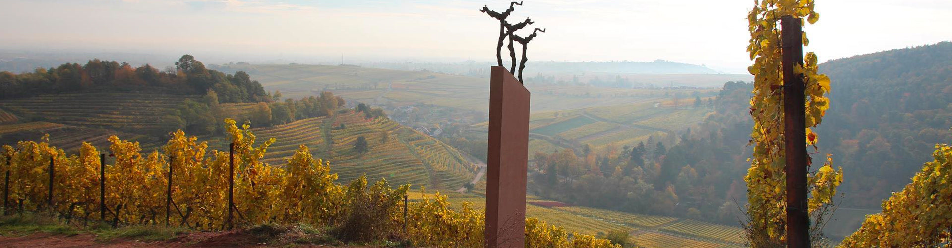 A view over the Pfalz from Ökonomierat Rebholz Vineyards