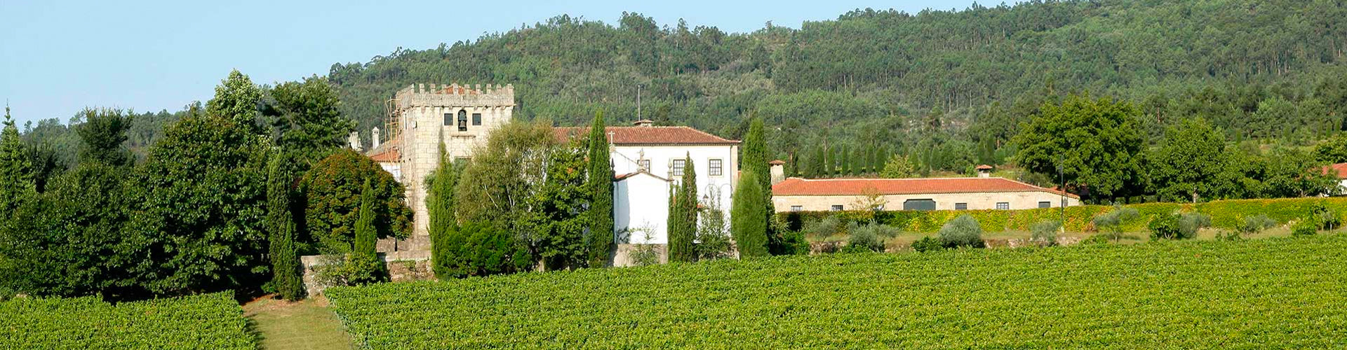 Quinta de Azeveda estate in Vinho Verde Portugal