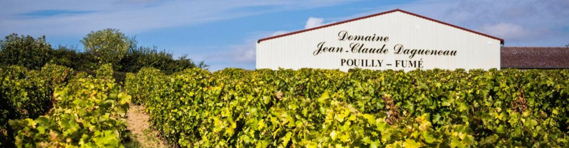 J C Dagueneau Domaine des Berthiers Winery