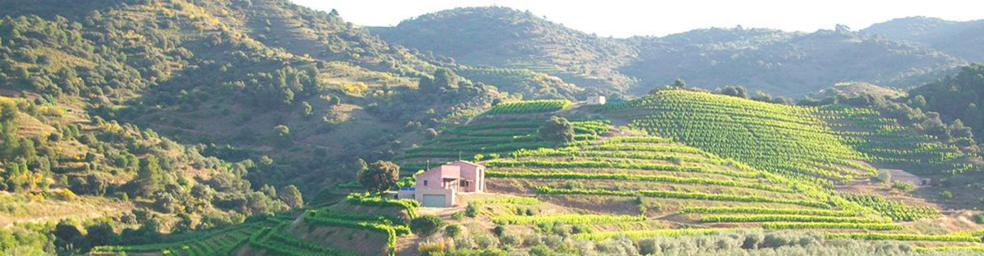 Mas Seró, located in the area of Masos de Falset, the estate of Serra Alta