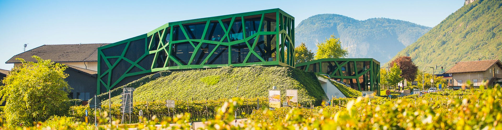 The Tramin Winery in Italy's Alto Adige