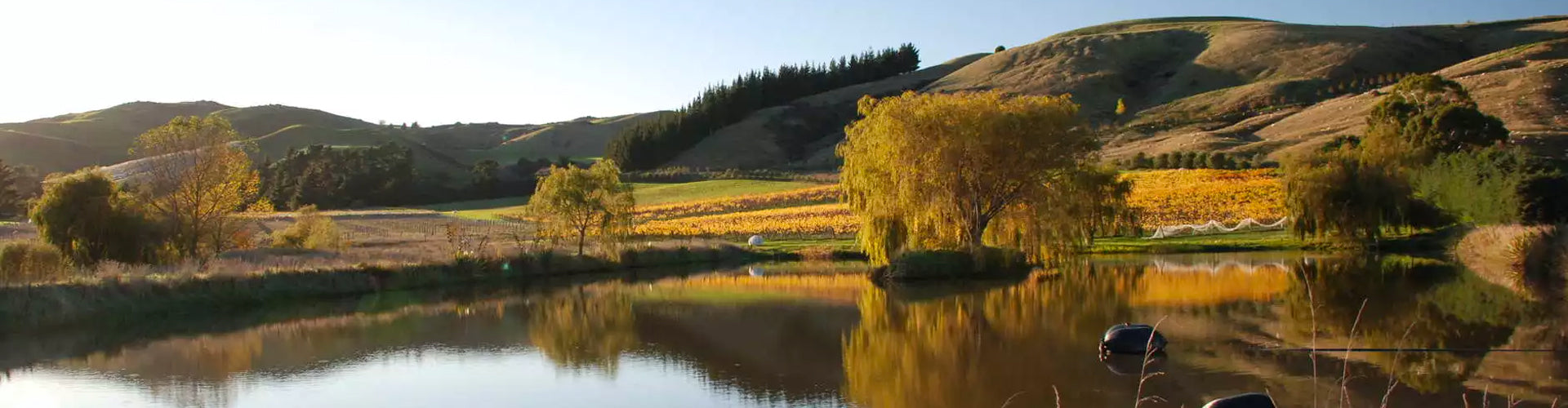 Muddy Water Wines: Waipara, New Zealand