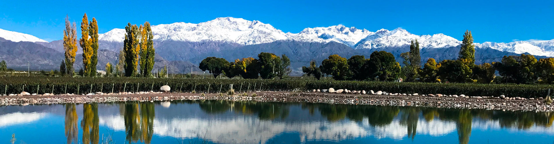 View over lake of Mendel Wines Vineyards in Mendoza