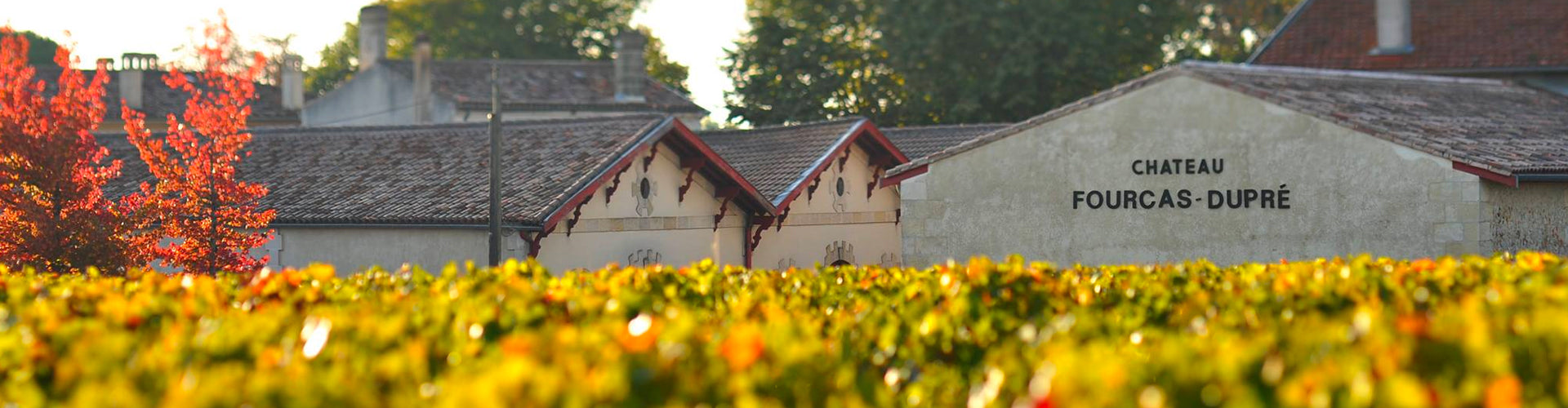 A view from the vineyard of the Château Fourcas Dupré Winery Buildings