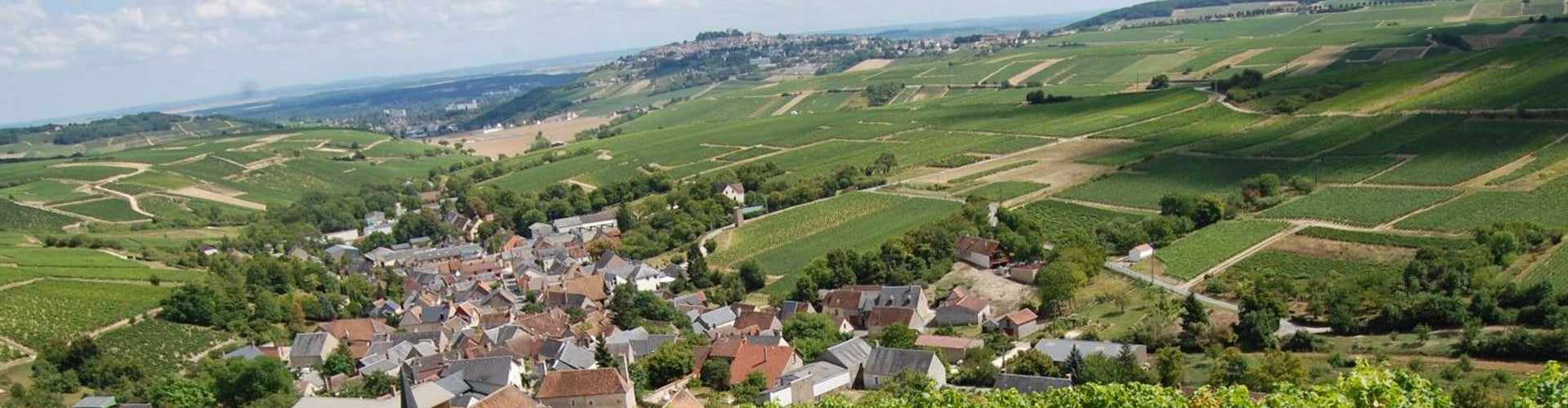 Cotat vineyards in Chavignol, Sancerre