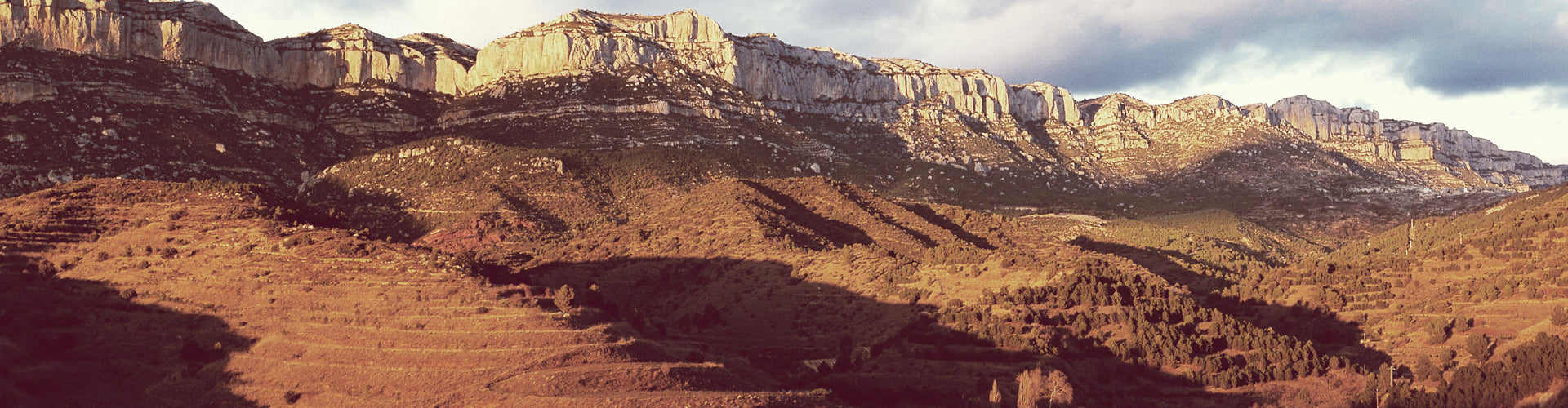 RAR Vineyards in Priorat, Spain