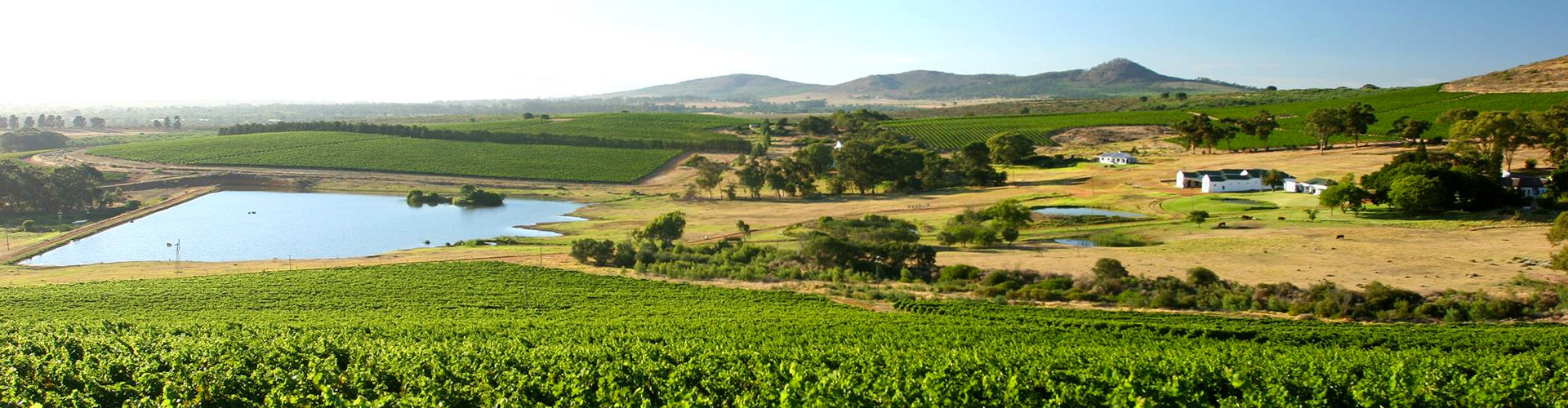 Cloof Wine Estate and Vineyards in Darling, South Africa