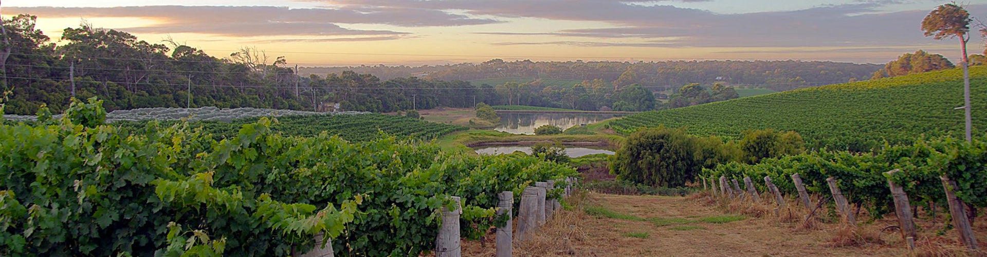 Woodland's Vineyards in Margaret River, Western Australia