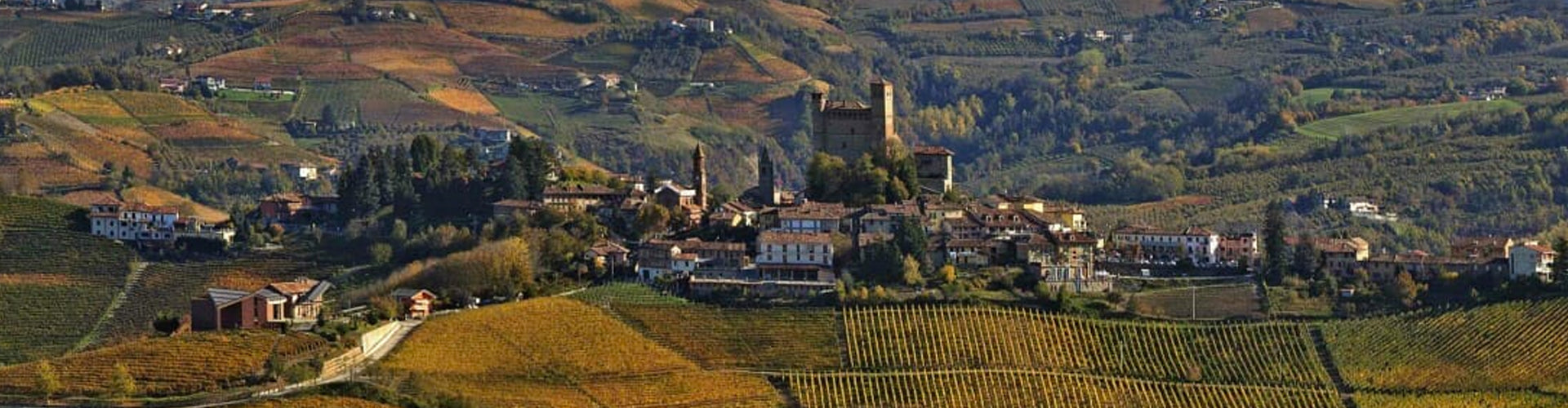 Pira Vineyards in the Serralunga commune of Piemonte, Italy