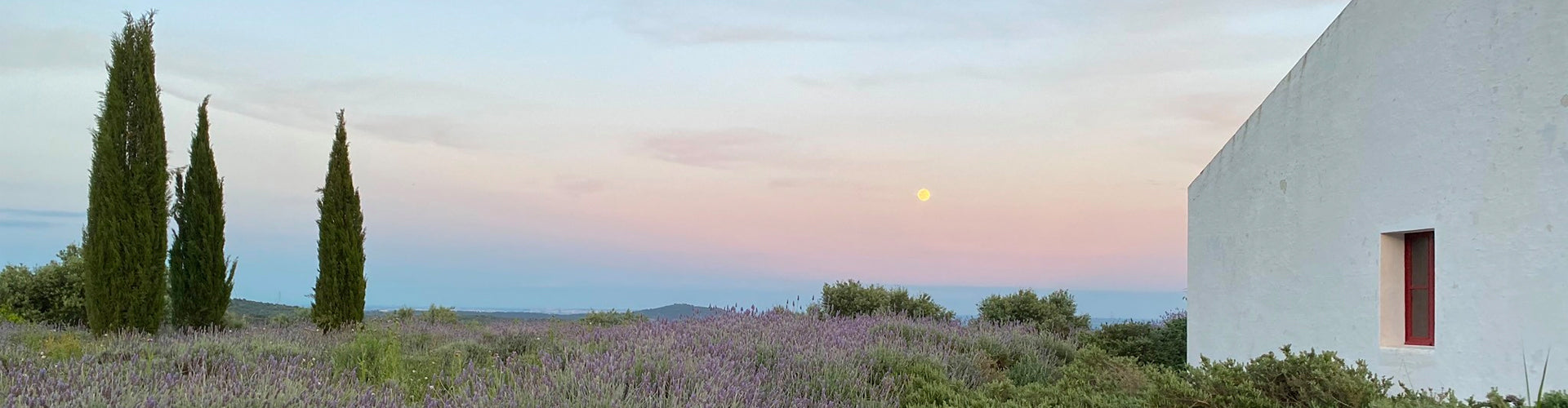 A vista of Azamor Wine Estate in the Alentejo