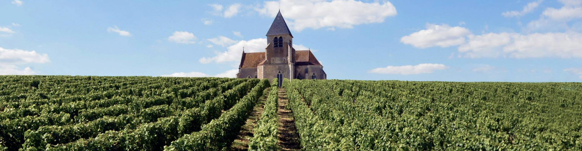 Jean-Marc Brocard Vineyards with Vézelay Abbey in Background