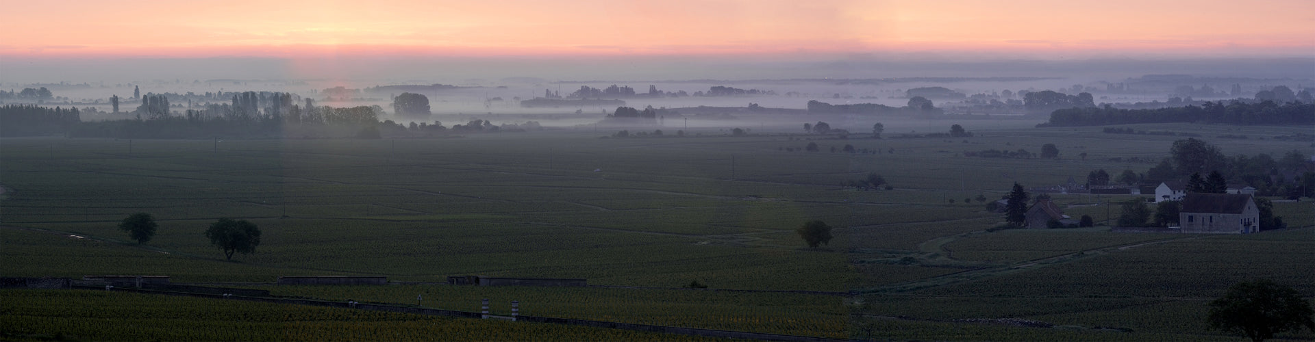 Domaine Leflaive Puligny Montrachet