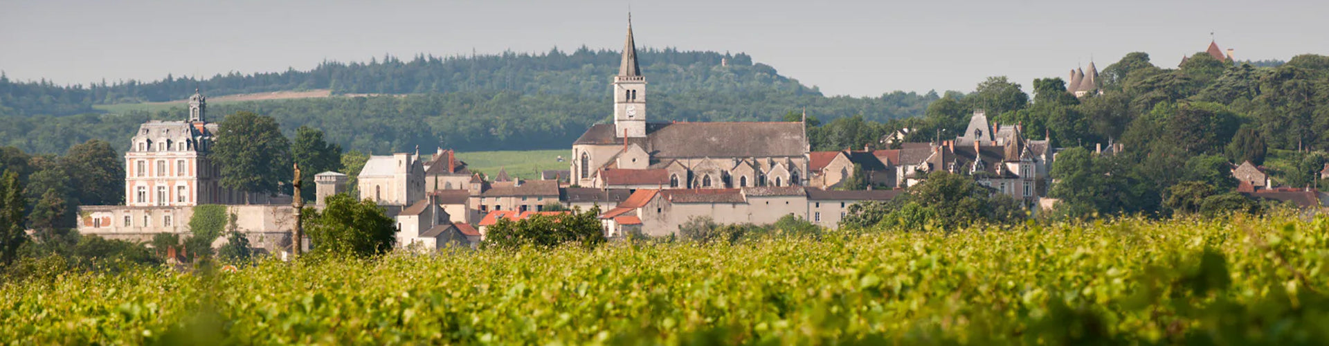 Domaine Vincent Dureuil Janthial Vineyards in Rully