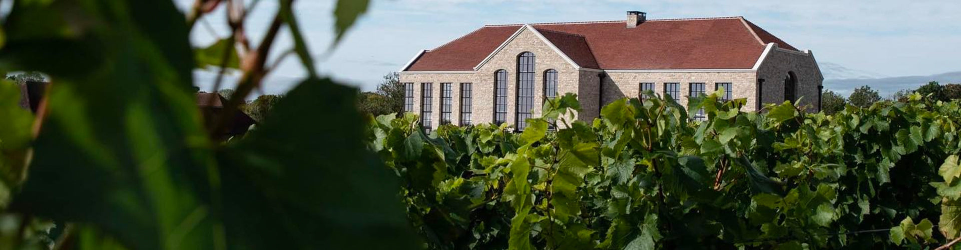 Exton Park Winery Building in amongst Vineyard