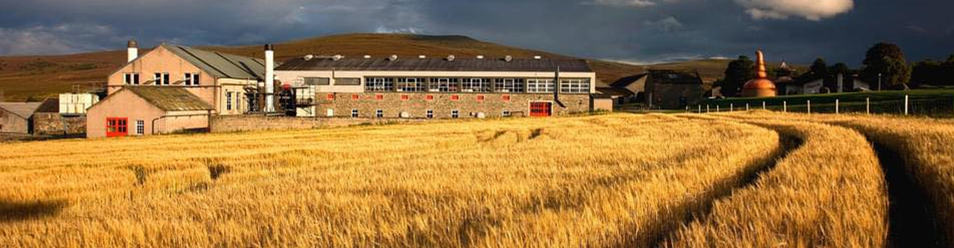 Glenfarclas Distillery beyond a field of barley