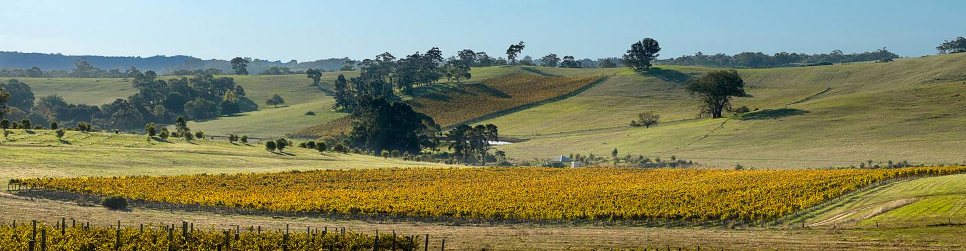Grosset Vineyards in the Clare Valley, South Australia